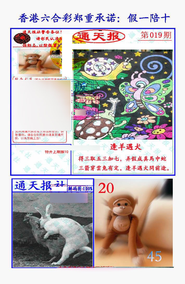 019期假一陪十通天报[图]