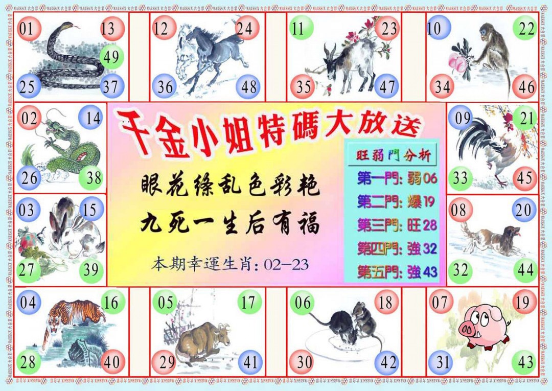 019期千金小姐B版[图]