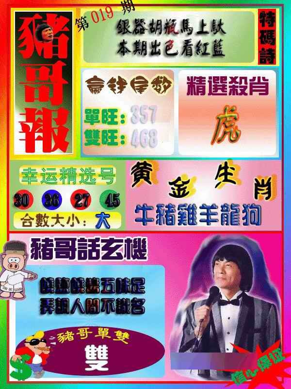 019期猪哥报[图]