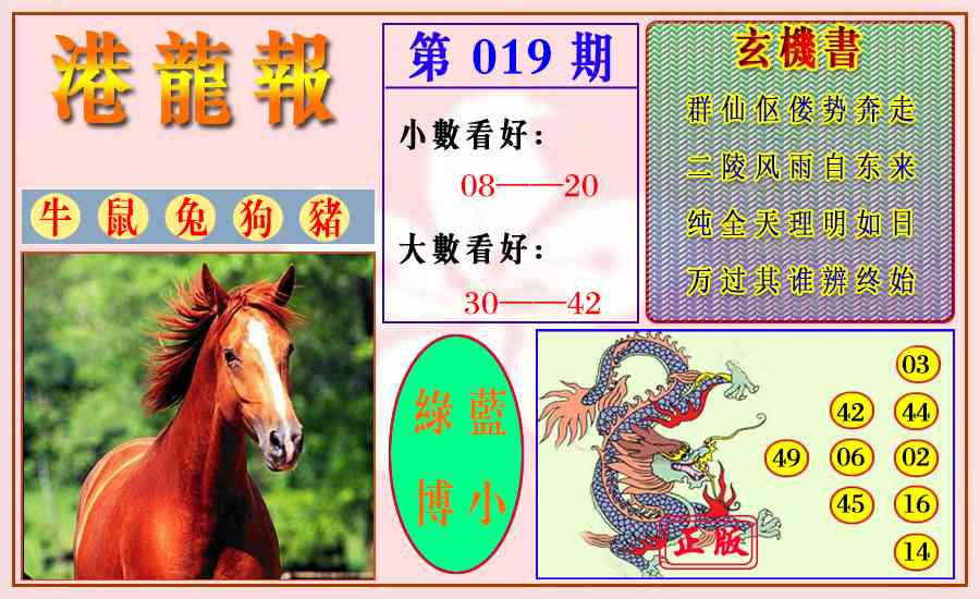 019期港龙报[图]