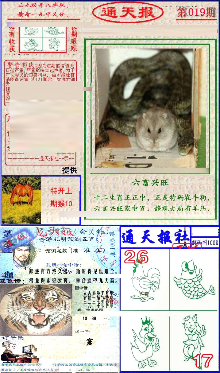 019期实力通天报[图]