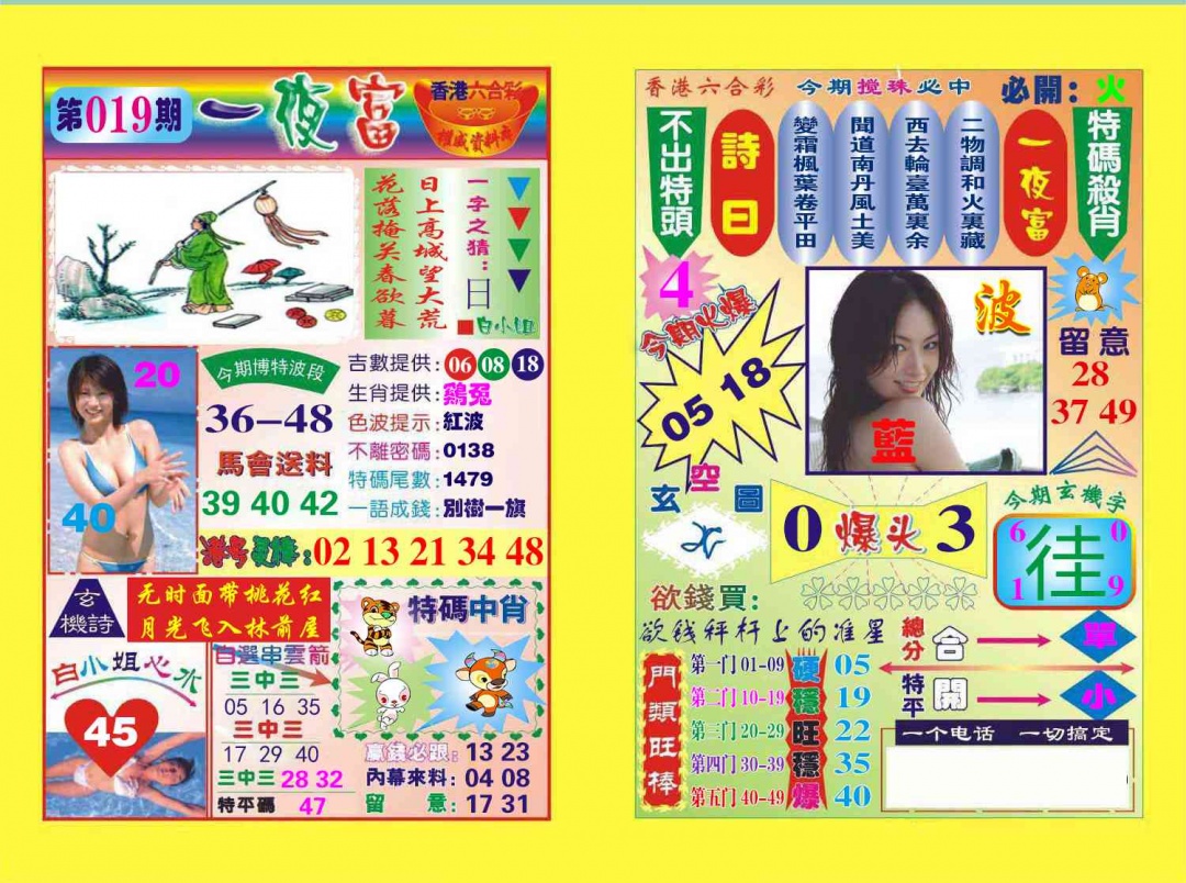 019期一夜富[图]