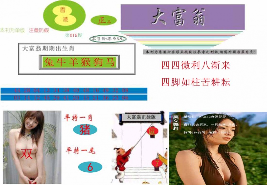 019期大富翁[图]