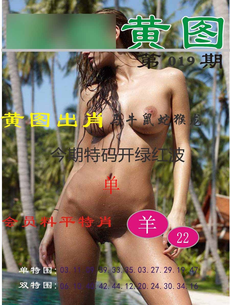 019期黄图[图]