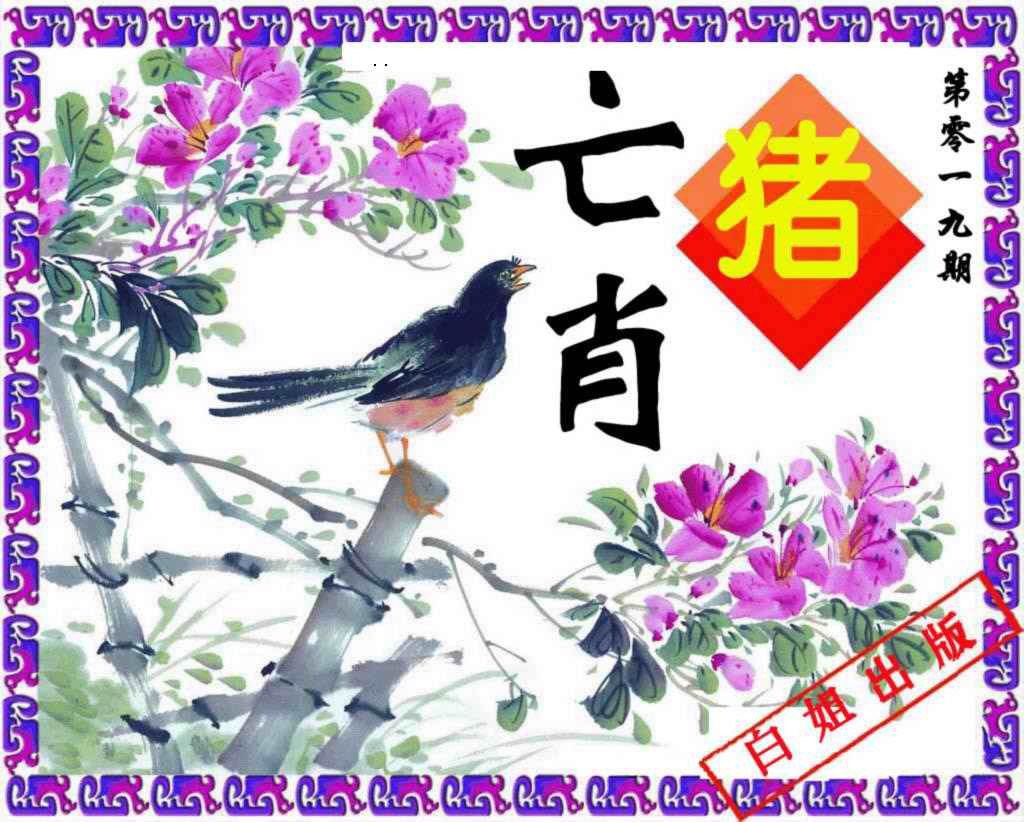 019期神鸟版[图]