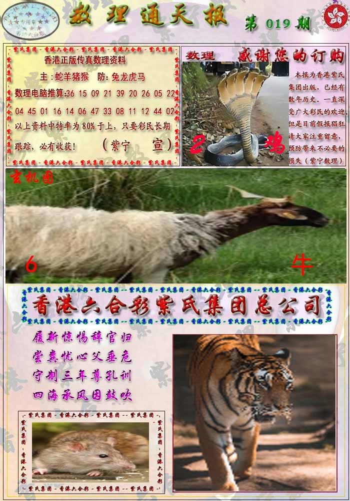 019期数通报[图]