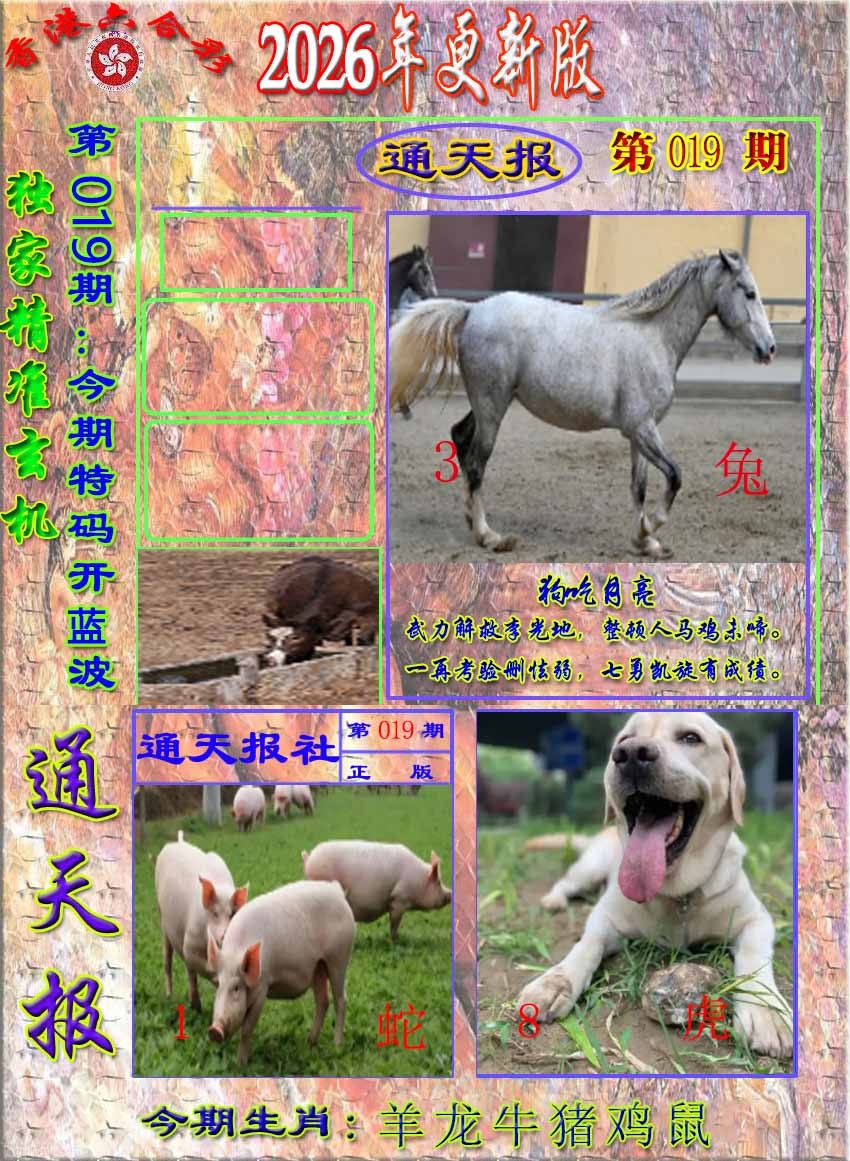 019期新通报[图]