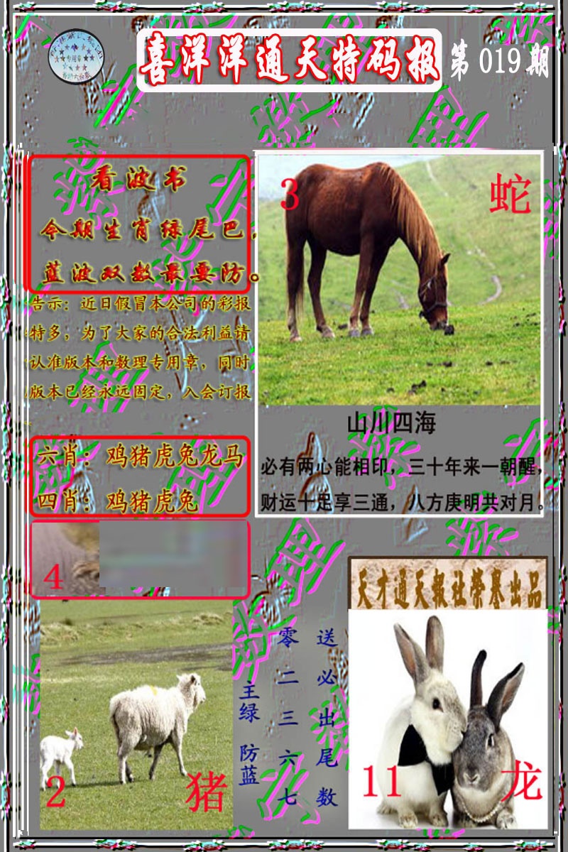 019期洋通报[图]