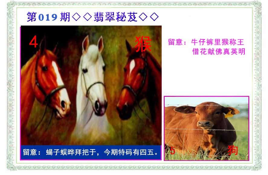 019期翡翠报[图]