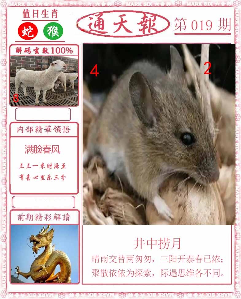 019期正版通天报[图]