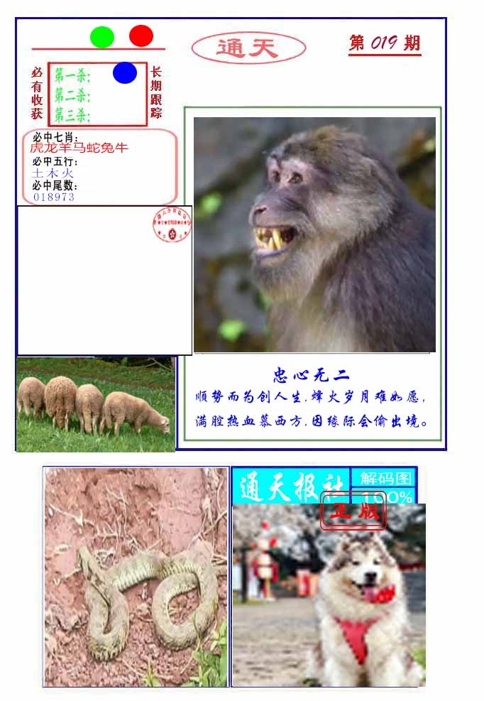 019期通天杀波图2[图]