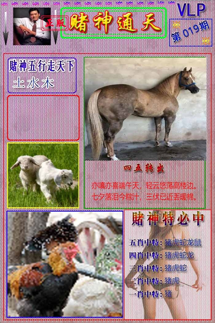 019期赌神通天报[图]