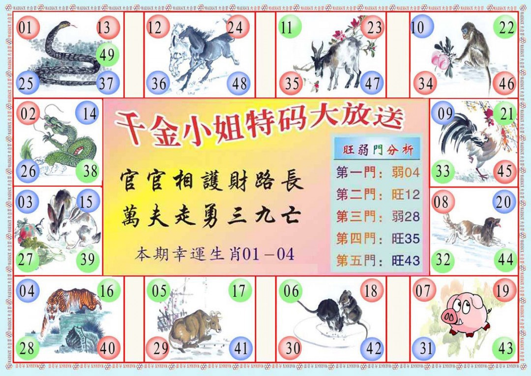 019期(新版)千金小姐B[图]