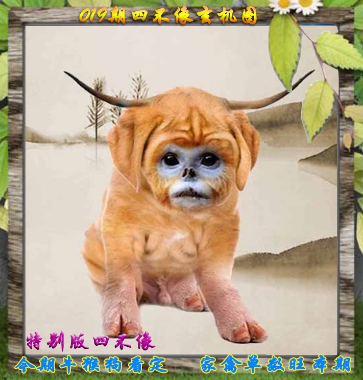 019期四不像特别版[图]
