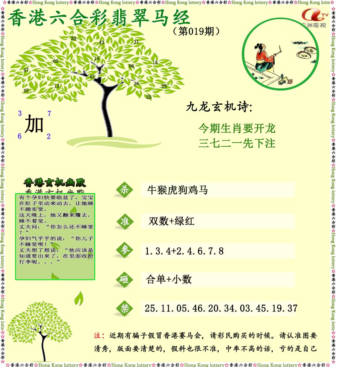 019期翡翠马经[图]