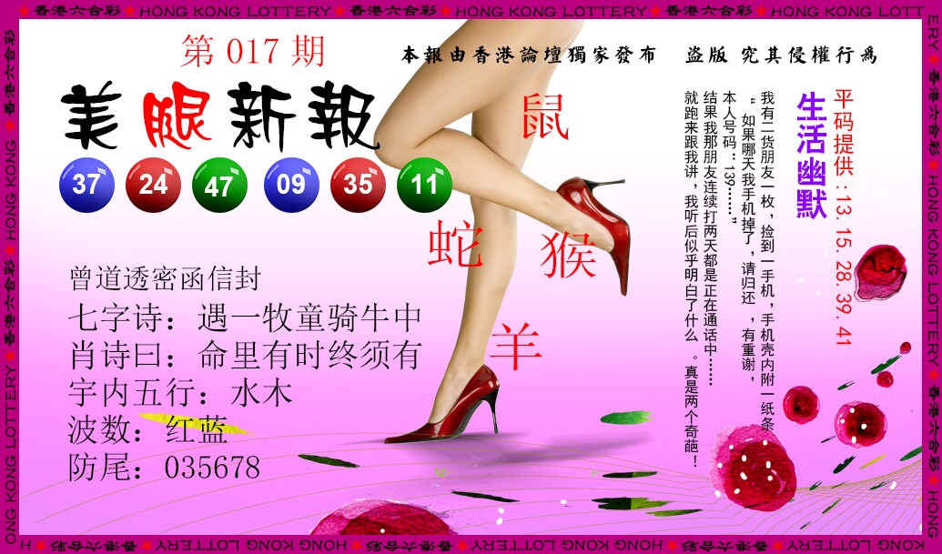 019期美腿新报[图]