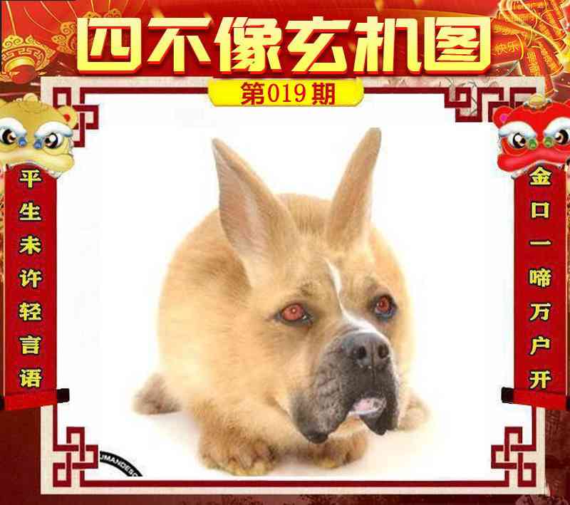 019期四不像玄机图[图]