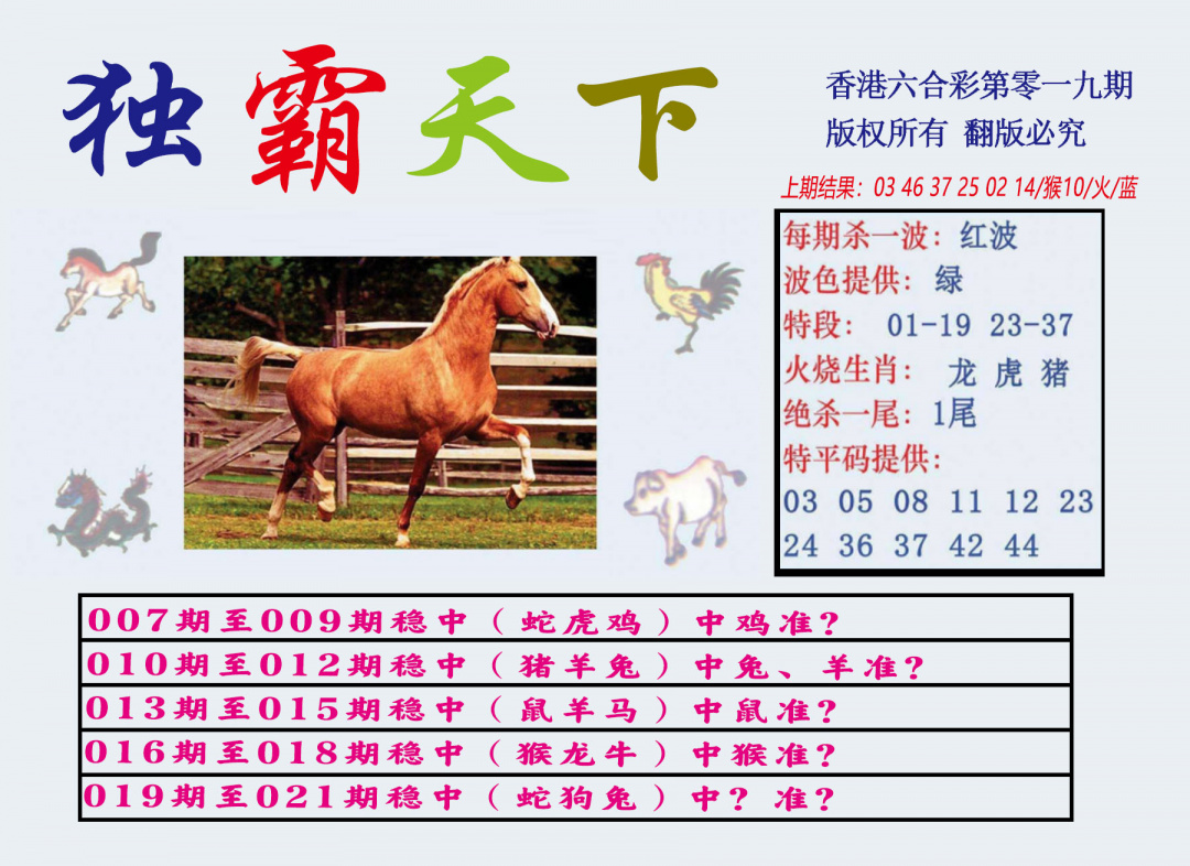 019期独霸天下[图]