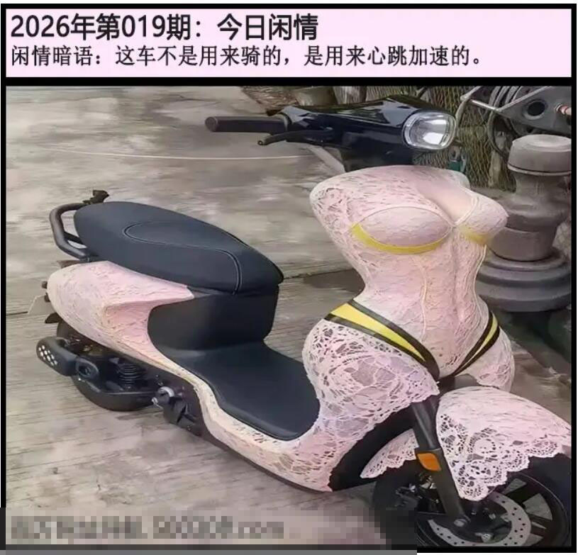 019期另版今日闲情[图]